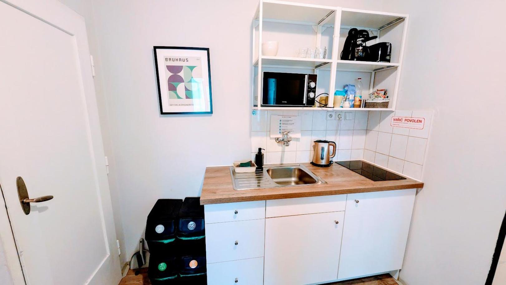 Flat In Zizkov -401- Prag